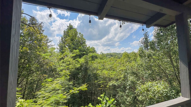 1727 Oakridge View Ln in Sevierville, TN - Building Photo - Building Photo