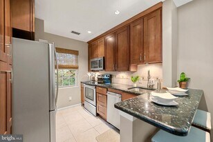 1403 E Abingdon Dr in Alexandria, VA - Building Photo