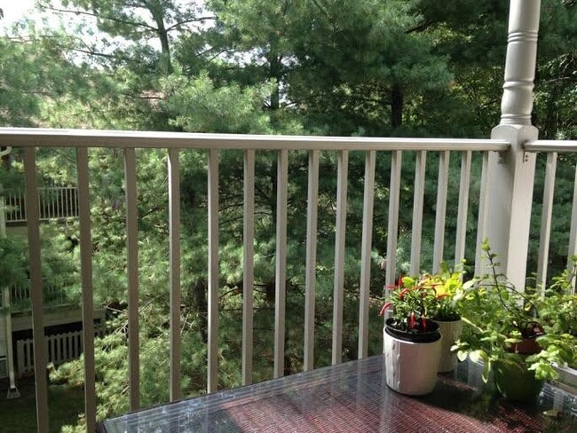 3112 Wallaby Trce in Henrico, VA - Building Photo - Building Photo