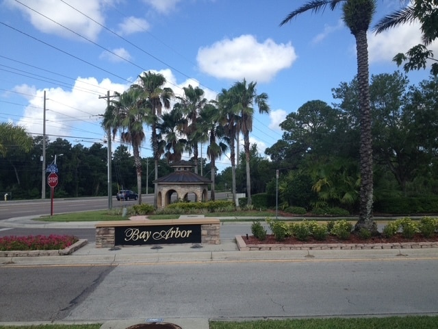 341 Kaley Ct in Oldsmar, FL - Foto de edificio - Building Photo