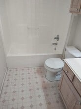 3209 Cape Cod Ct in Arlington, TX - Building Photo - Building Photo