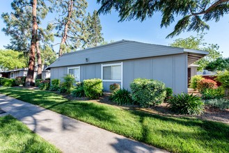 Pine Valley in Fresno, CA - Foto de edificio - Building Photo