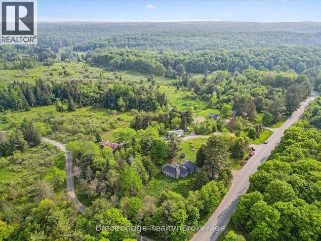 1151 Beatrice Town Rd in Bracebridge, ON - Building Photo - Building Photo