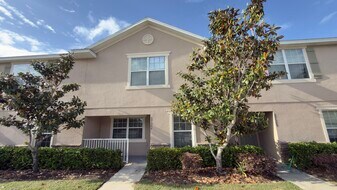 27507 Desert Willow Way in Wesley Chapel, FL - Building Photo
