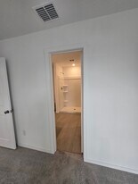 3112 Burmese St in Krugerville, TX - Building Photo