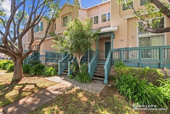 1165 Starfish Terrace in Fremont, CA - Building Photo - Building Photo