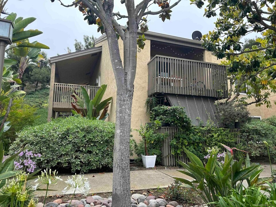 3128 Via Alicante in San Diego, CA - Building Photo