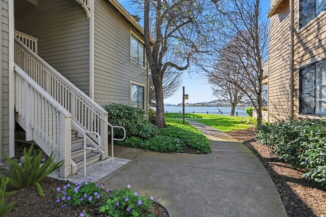 152 Lakeshore Ct in Richmond, CA - Building Photo - Building Photo
