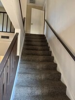 3923 Tanglewilde St in Houston, TX - Building Photo