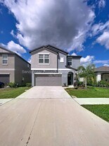 10352 Blue Plume Ct in Riverview, FL - Building Photo