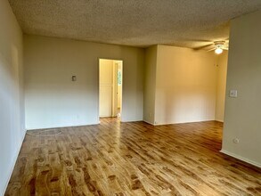 4265 Colfax Ave in Studio City, CA - Foto de edificio - Building Photo