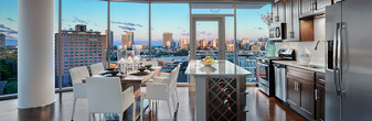 The Residences at NewCity in Chicago, IL - Building Photo - Building Photo