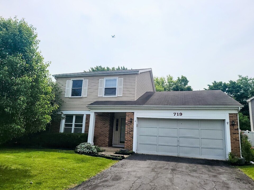 719 Radnor Dr in Roselle, IL - Building Photo