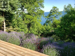 3 Dault Rd in Toronto, ON - Building Photo - Building Photo