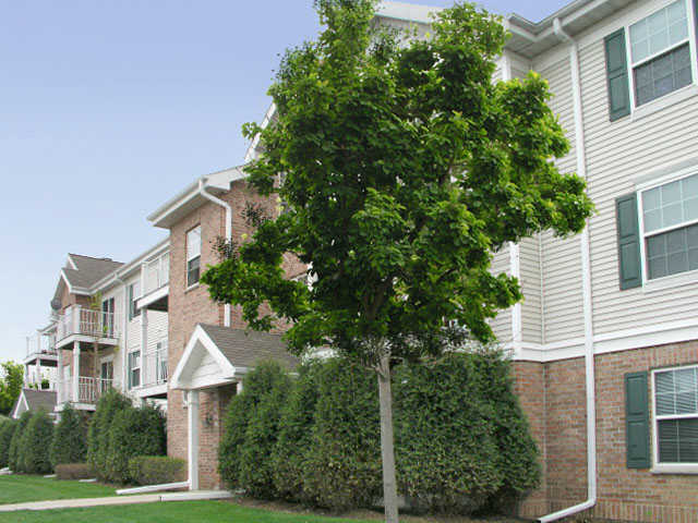 Wildflower Place Apartments in Waukesha, WI - Building Photo - Building Photo