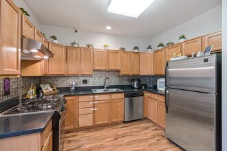 727 S Ashland Ave in Chicago, IL - Building Photo - Building Photo
