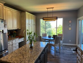 541 Rita Pl in Castle Pines, CO - Building Photo - Building Photo