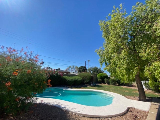 6124 N 18th Dr in Phoenix, AZ - Building Photo - Building Photo