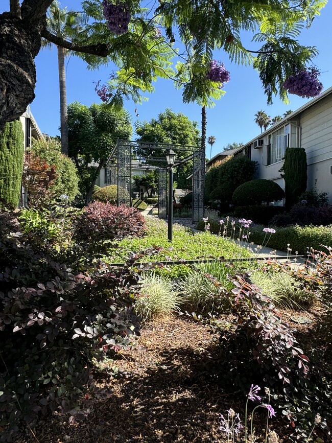 Park View Arbor Apartments in South Pasadena, CA - Building Photo - Building Photo