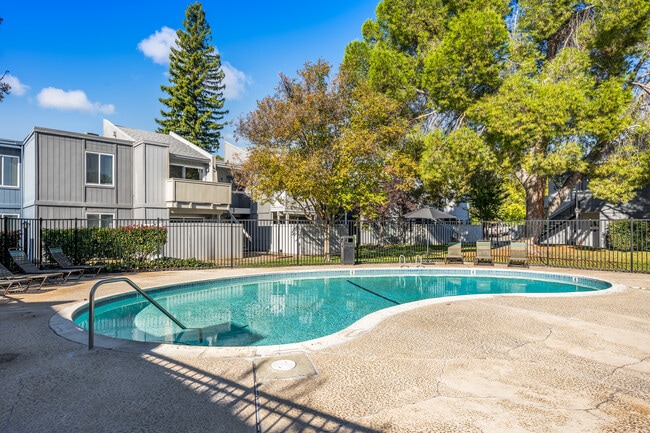 The Grove Apartments