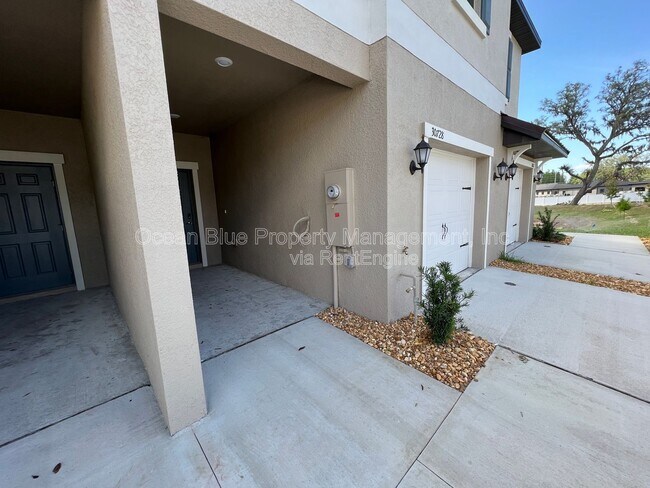 30728 Veridian Wy in Wesley Chapel, FL - Building Photo - Building Photo