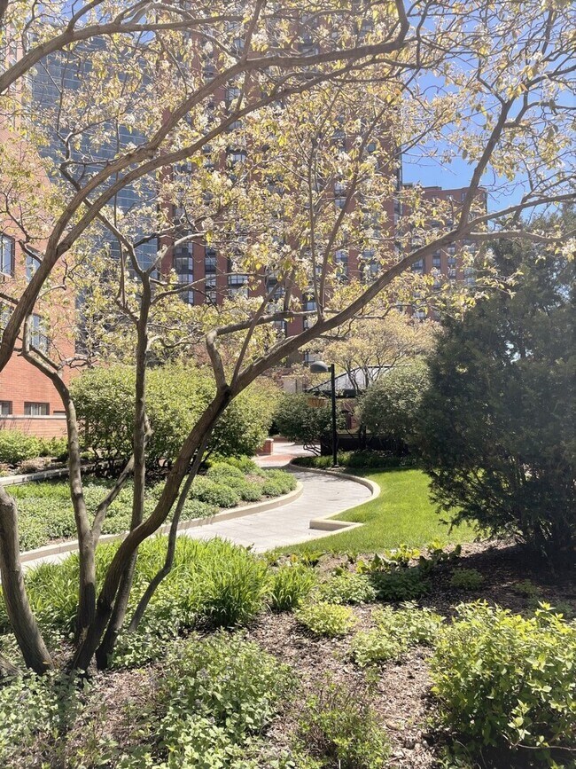 801 S Plymouth Ct in Chicago, IL - Building Photo - Building Photo