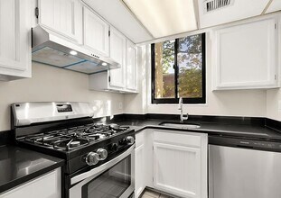 3825 Davis Pl NW, Unit 202 in Washington, DC - Building Photo - Building Photo