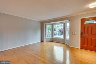 8061 Sky Blue Dr in Alexandria, VA - Building Photo