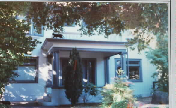 800 Cowper St in Palo Alto, CA - Foto de edificio