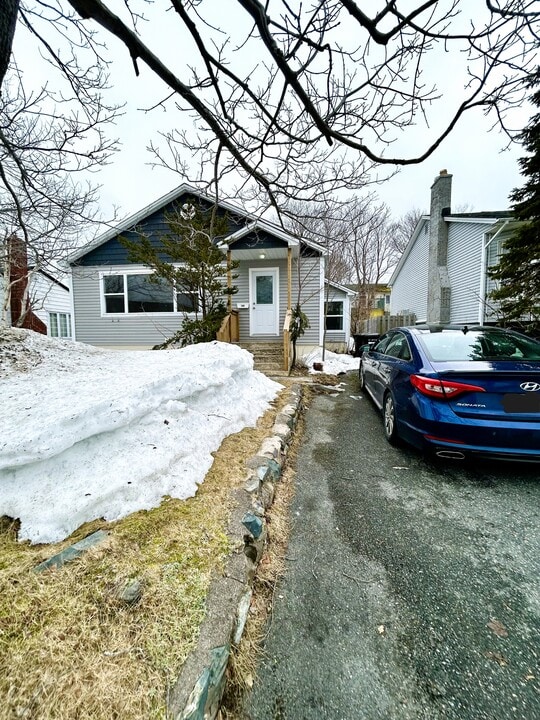 169 University Ave in St John's, NL - Building Photo