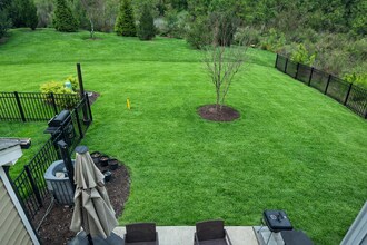 1761 Clayfire Dr. in Cary, NC - Building Photo - Building Photo