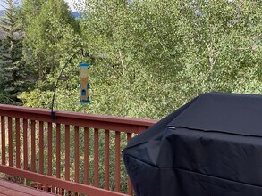 608 Willowbrook Rd in Silverthorne, CO - Building Photo - Building Photo