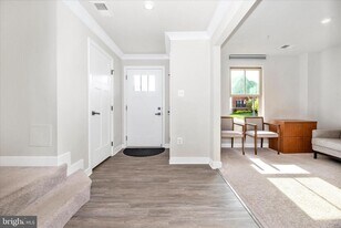 6042 Fallfish Ct in New Market, MD - Building Photo