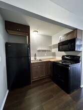 249 Chestnut St in Wyandotte, MI - Building Photo - Building Photo