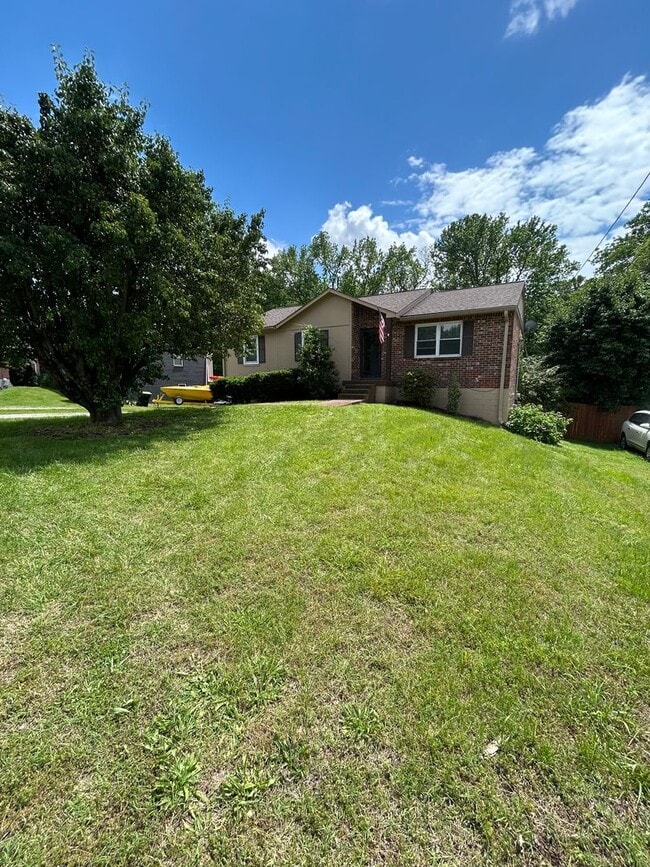 238 Sunny Acre Dr in Mount Juliet, TN - Building Photo - Building Photo