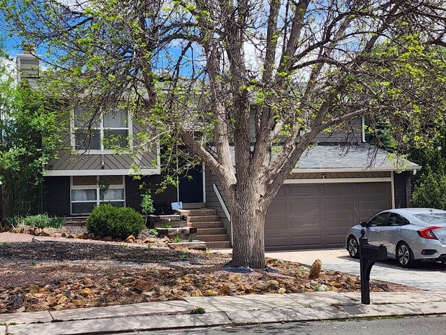 5427 Alteza Dr in Colorado Springs, CO - Building Photo - Building Photo