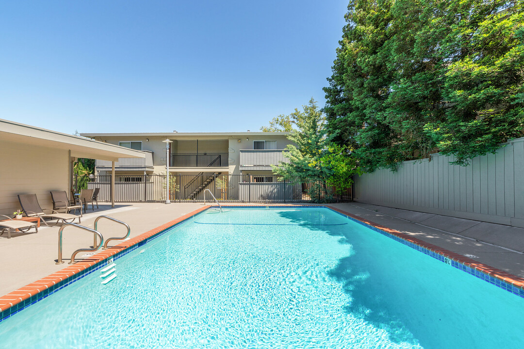 Walnut Creek Apartments in Walnut Creek, CA - Building Photo