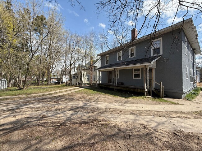 309-311 Fitch St in Albion, MI - Building Photo - Building Photo