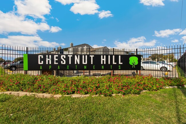 Chestnut Hill in Houston, TX - Foto de edificio - Building Photo