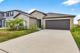 9907 Branching Ship Trce in Zephyrhills, FL - Building Photo