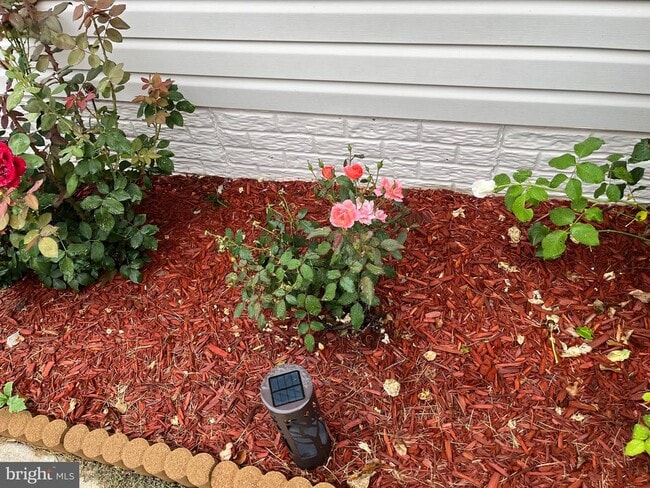 property at 113 Hotchkiss St