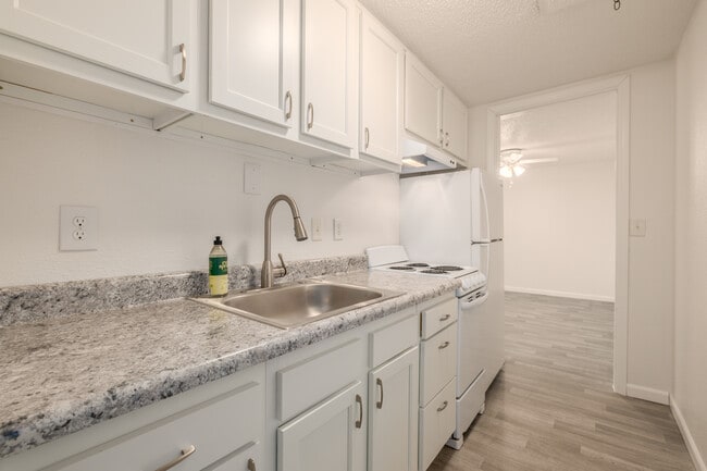 Palatka Oaks Apartments in Palatka, FL - Foto de edificio - Interior Photo