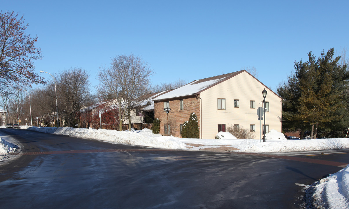 201 Canal St in Palmyra, NY - Building Photo