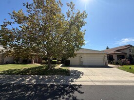 10140 Frank Greg Way in Elk Grove, CA - Building Photo