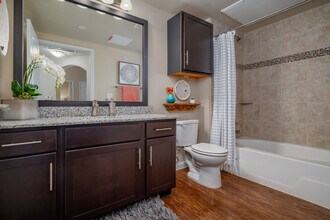 Platinum Shavano Oaks in San Antonio, TX - Foto de edificio - Building Photo