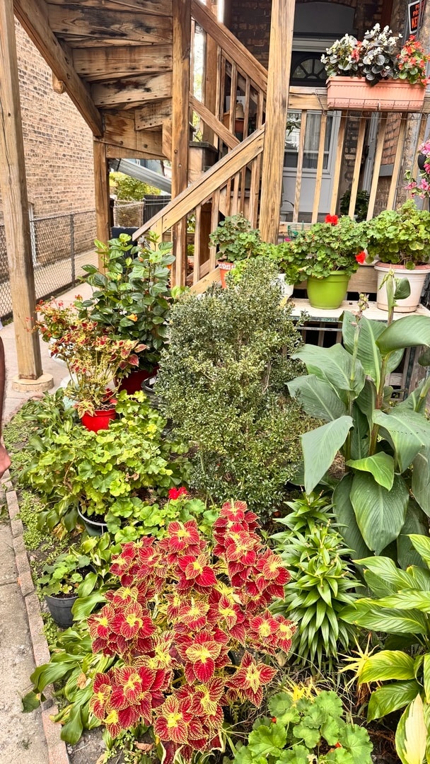 4441 N Central Ave in Chicago, IL - Building Photo - Building Photo