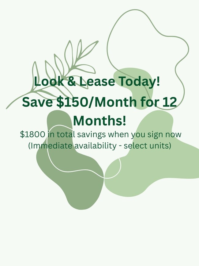 Springs of Country Woods