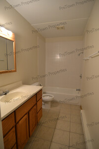 255 W Elm St, Unit #3 in Coal City, IL - Building Photo - Building Photo