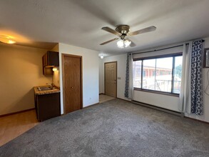 2nd St Flats in Rochester, MN - Foto de edificio - Interior Photo