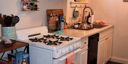 3829 N Greenview Ave, Unit 3843-1 in Chicago, IL - Building Photo - Building Photo